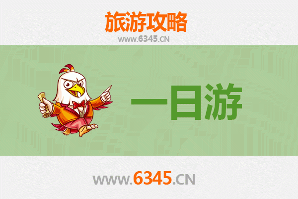 菏泽单县自驾一日游攻略：古韵美食全体验