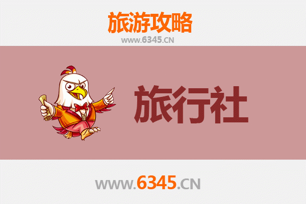 菏泽单县旅行社精选推荐与深度游玩攻略