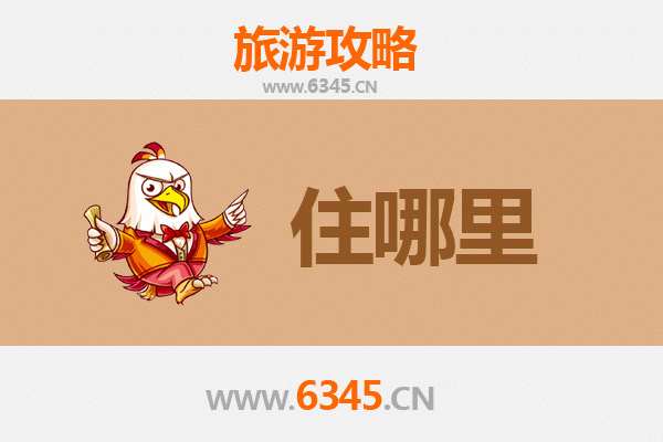 菏泽单县旅游民宿全攻略：沉浸式体验鲁西南风情