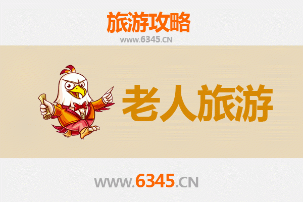菏泽单县银龄漫游指南：静享古韵慢生活